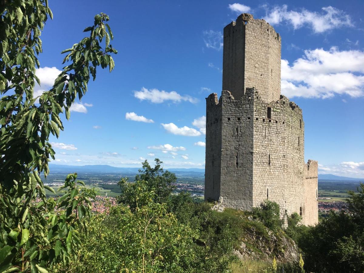 Апартаменты Au Nid De Cigogne Зеленбер Экстерьер фото