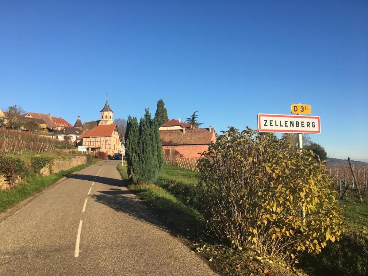 Апартаменты Au Nid De Cigogne Зеленбер Экстерьер фото